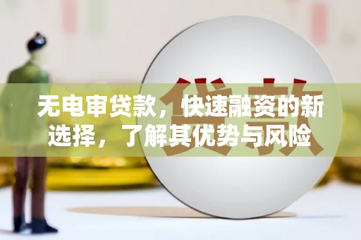 雄县无电审贷款，快速融资的新选择，了解其优势与风险