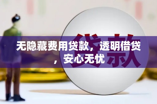 雄县无隐藏费用贷款，透明借贷，安心无忧