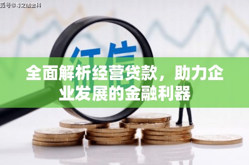 雄县全面解析经营贷款，助力企业发展的金融利器