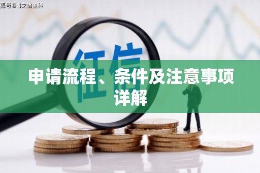 雄县申请流程、条件及注意事项详解