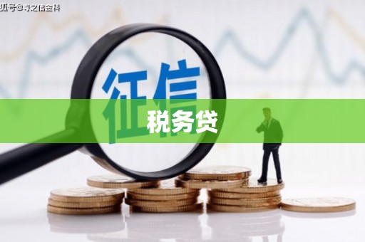 雄县税务贷