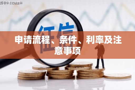 雄县申请流程、条件、利率及注意事项