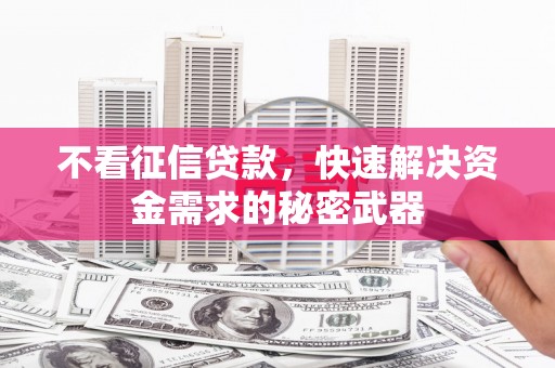 雄县不看征信贷款，快速解决资金需求的秘密武器