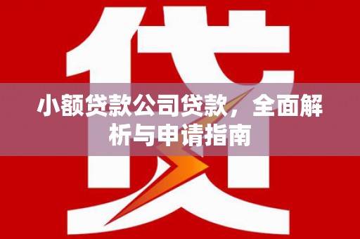 雄县小额贷款公司贷款，全面解析与申请指南