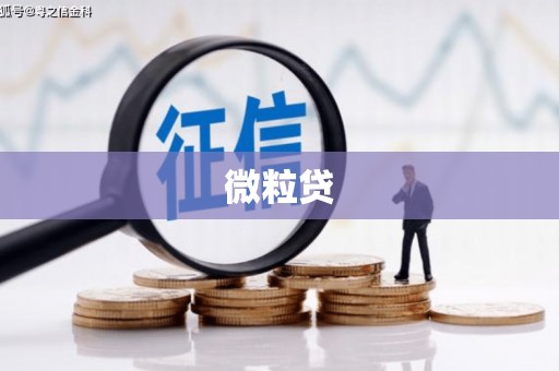 雄县微粒贷