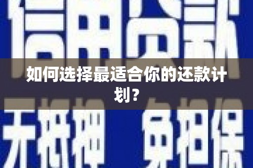 雄县如何选择最适合你的还款计划？