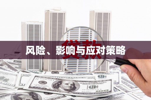 雄县风险、影响与应对策略