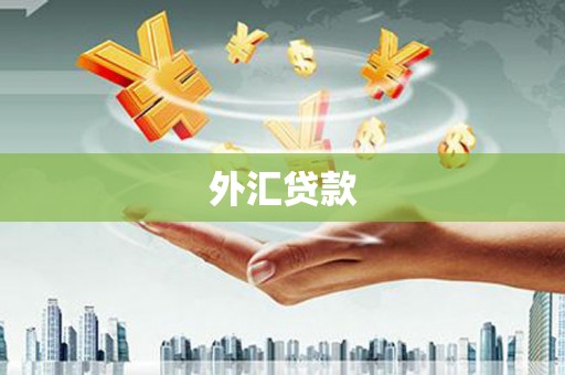 雄县外汇贷款