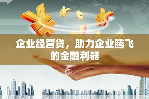 雄县企业经营贷，助力企业腾飞的金融利器