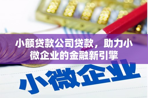 雄县小额贷款公司贷款，助力小微企业的金融新引擎