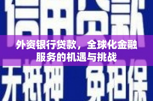 雄县外资银行贷款，全球化金融服务的机遇与挑战
