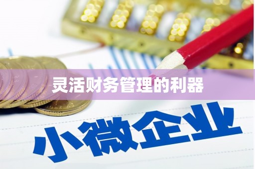 雄县灵活财务管理的利器