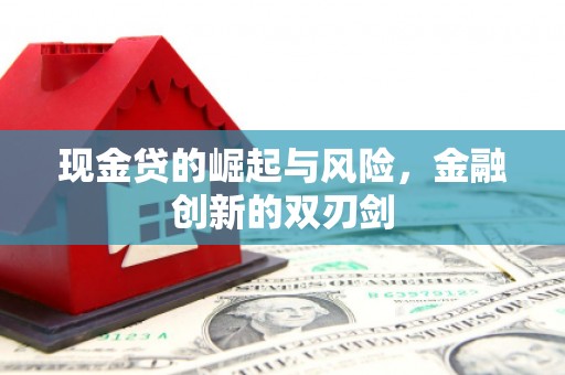 雄县现金贷的崛起与风险，金融创新的双刃剑