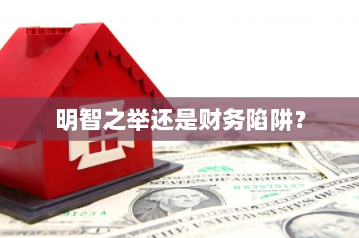 雄县明智之举还是财务陷阱？