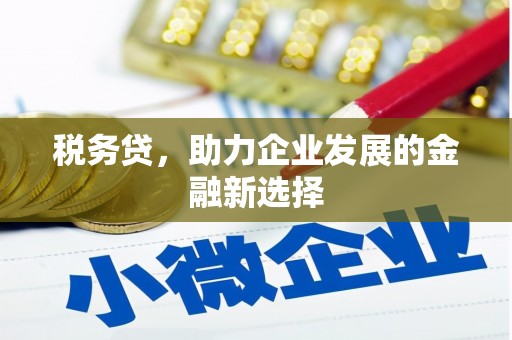 雄县税务贷，助力企业发展的金融新选择