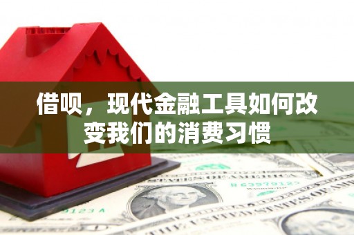 雄县借呗，现代金融工具如何改变我们的消费习惯