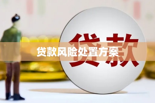 雄县贷款风险处置方案