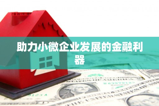 雄县助力小微企业发展的金融利器