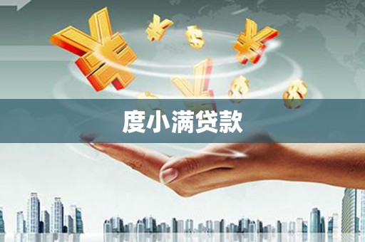 雄县度小满贷款