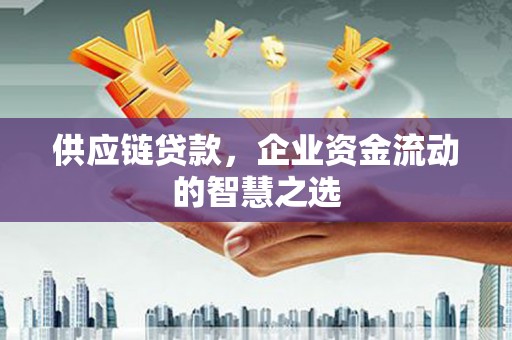 雄县供应链贷款，企业资金流动的智慧之选