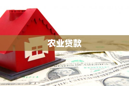 雄县农业贷款