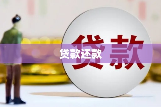 雄县贷款还款