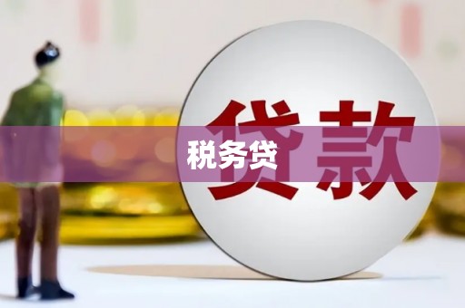 雄县税务贷