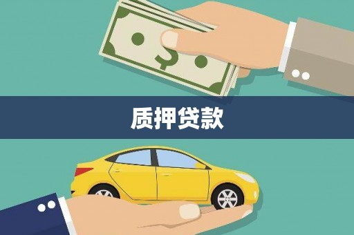雄县质押贷款