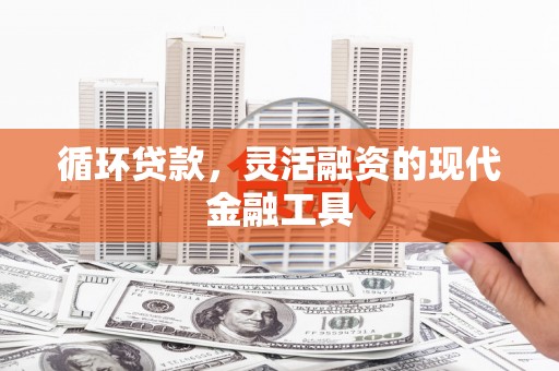 雄县循环贷款，灵活融资的现代金融工具