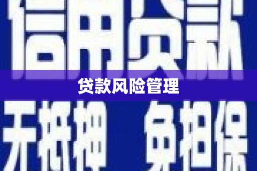 雄县贷款风险管理