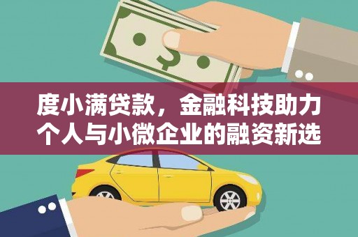雄县度小满贷款，金融科技助力个人与小微企业的融资新选择