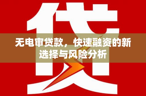 雄县无电审贷款，快速融资的新选择与风险分析