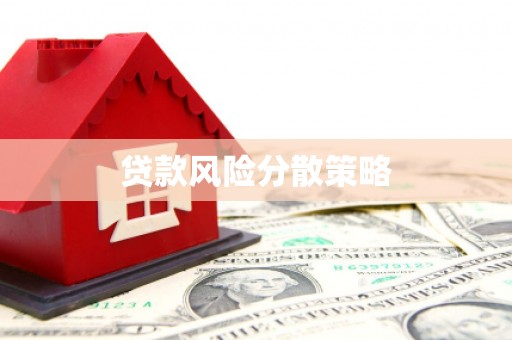 雄县贷款风险分散策略