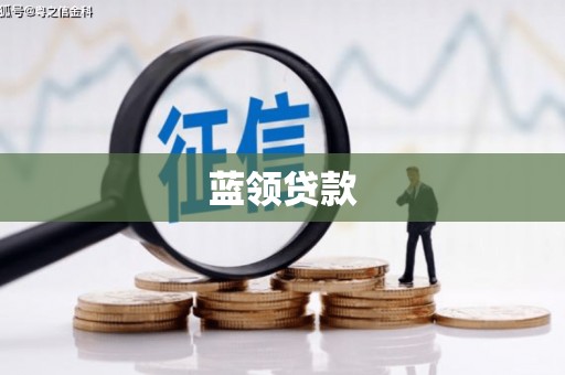 雄县蓝领贷款