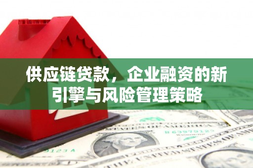 雄县供应链贷款，企业融资的新引擎与风险管理策略