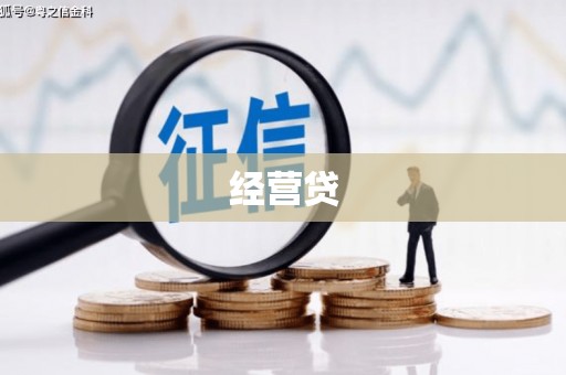 雄县经营贷