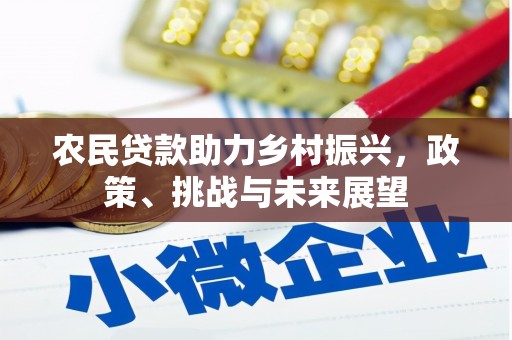 雄县农民贷款助力乡村振兴，政策、挑战与未来展望