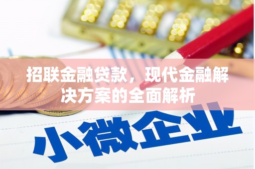 雄县招联金融贷款，现代金融解决方案的全面解析