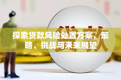 雄县探索贷款风险处置方案，策略、挑战与未来展望