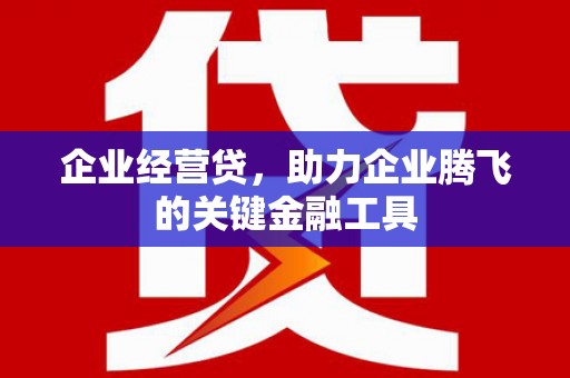 雄县企业经营贷，助力企业腾飞的关键金融工具