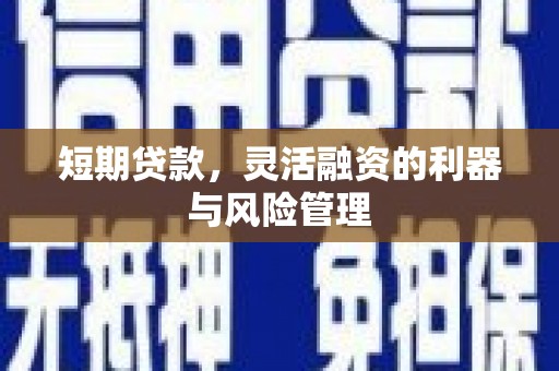 雄县短期贷款，灵活融资的利器与风险管理