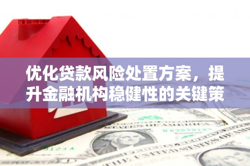 雄县优化贷款风险处置方案，提升金融机构稳健性的关键策略