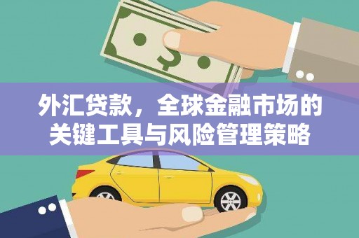 雄县外汇贷款，全球金融市场的关键工具与风险管理策略