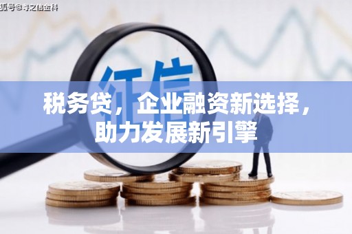 雄县税务贷，企业融资新选择，助力发展新引擎