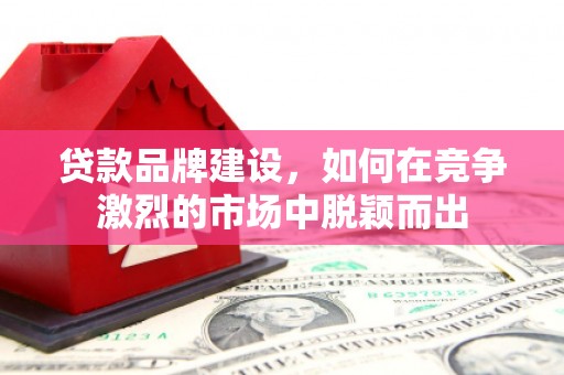 雄县贷款品牌建设，如何在竞争激烈的市场中脱颖而出