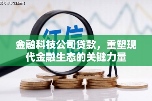 雄县金融科技公司贷款，重塑现代金融生态的关键力量
