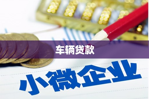 雄县车辆贷款