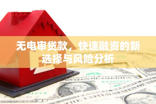 雄县无电审贷款，快速融资的新选择与风险分析