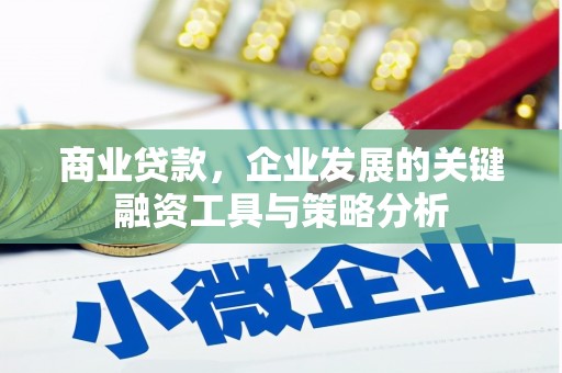 雄县商业贷款，企业发展的关键融资工具与策略分析