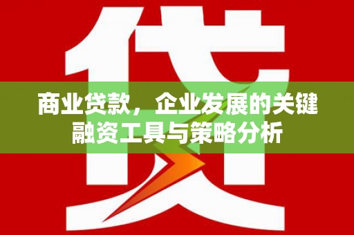 雄县商业贷款，企业发展的关键融资工具与策略分析